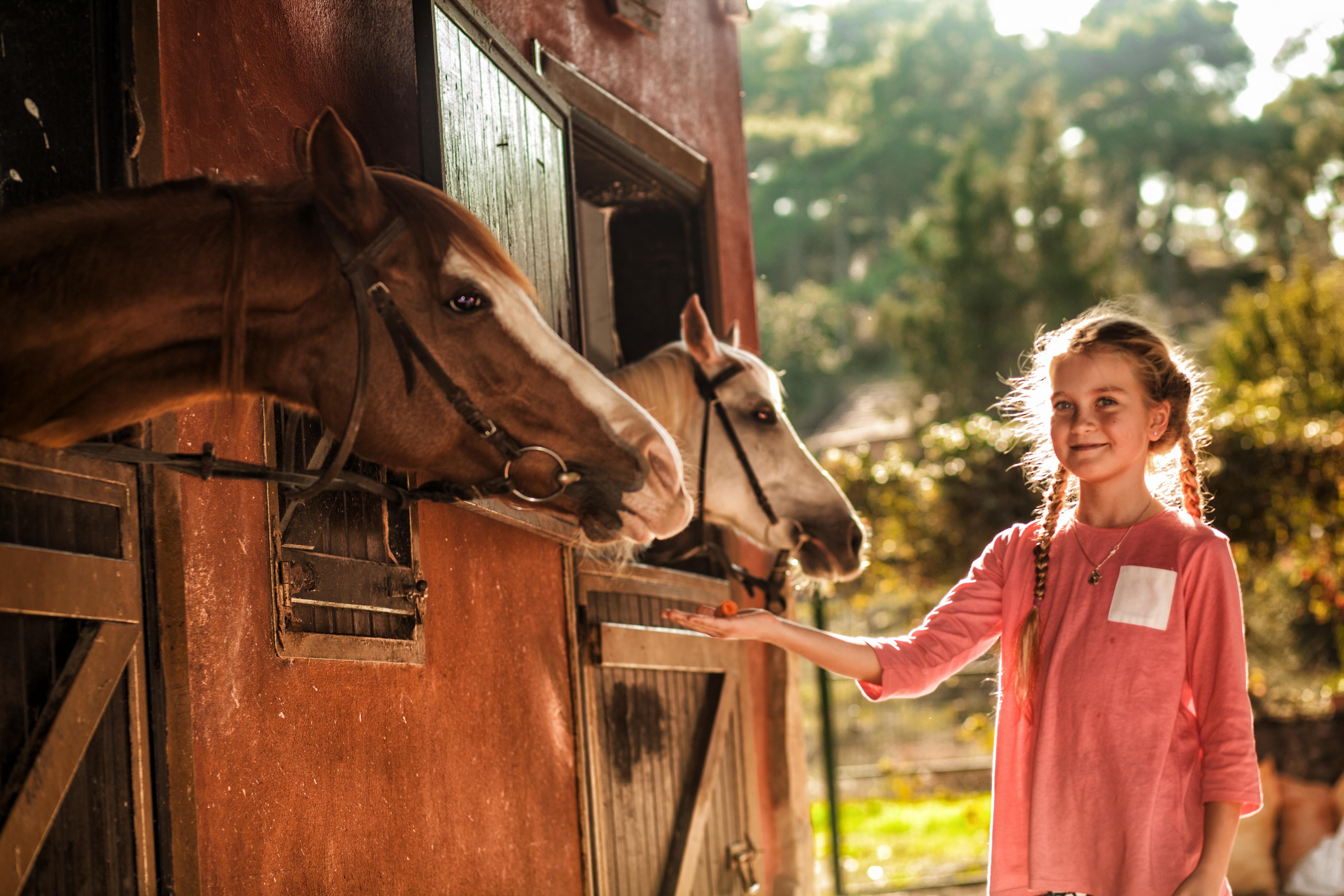 Hotel Berke Ranch&Nature Kemer Exteriér fotografie