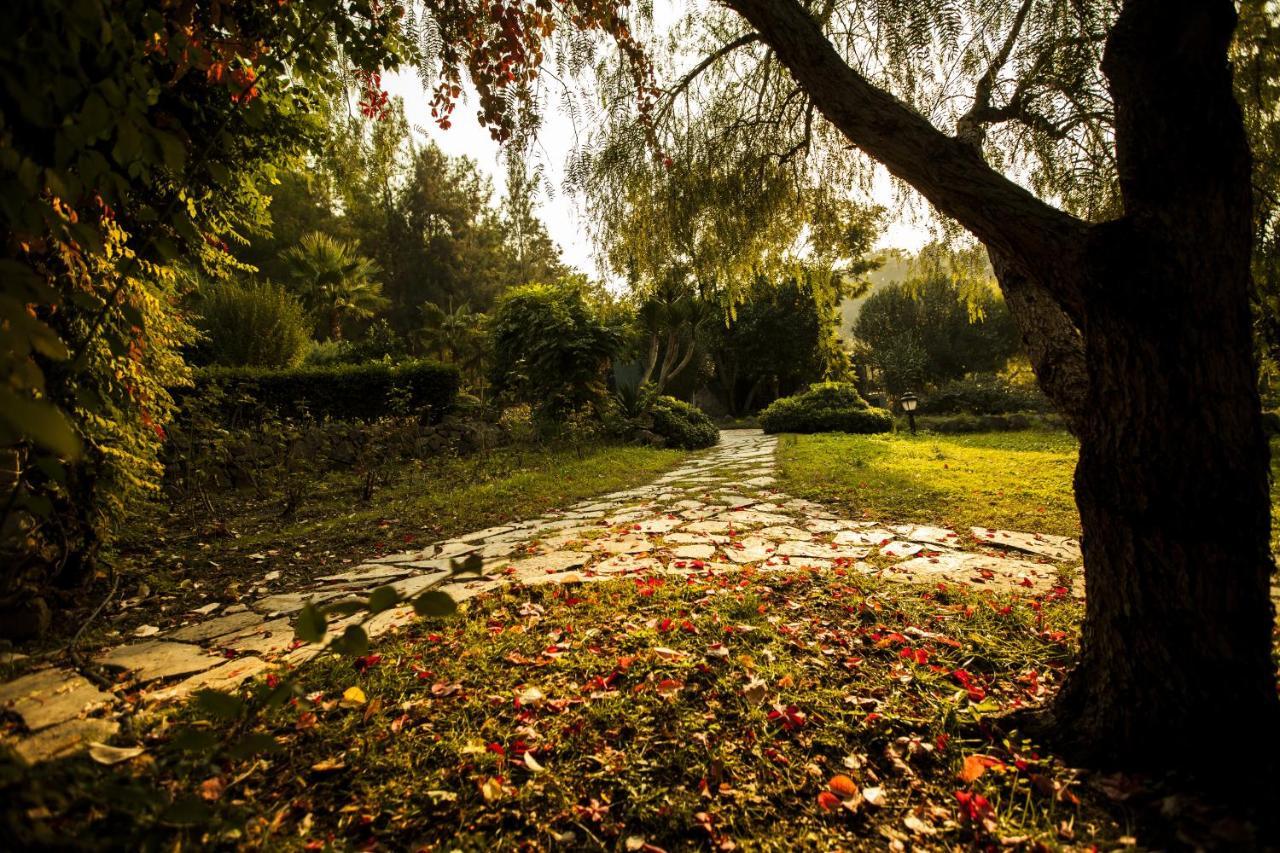Hotel Berke Ranch&Nature Kemer Exteriér fotografie