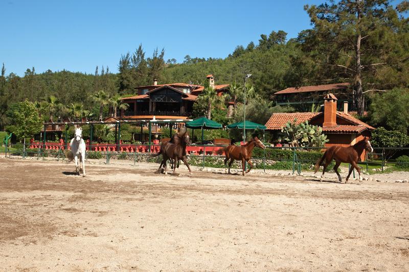 Hotel Berke Ranch&Nature Kemer Exteriér fotografie